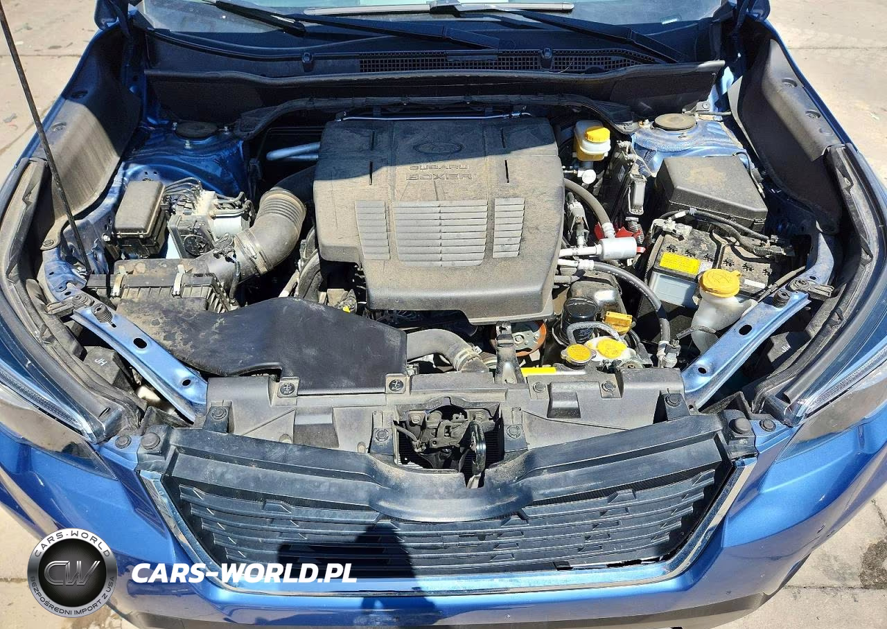 2019 Subaru Forester Limited VIN:JF2SKASC4KH502581 - 12