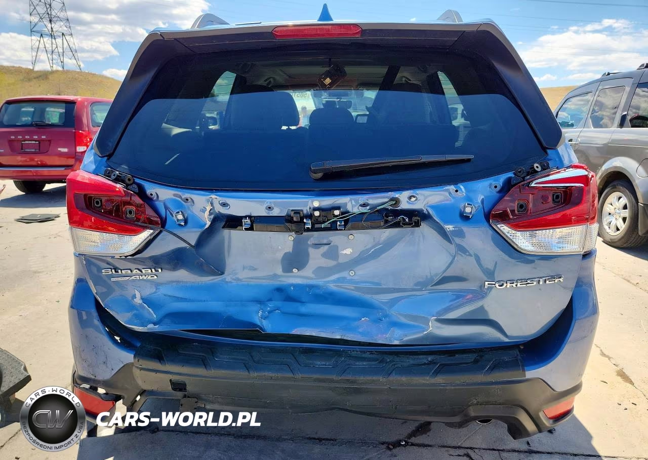 2019 Subaru Forester Limited VIN:JF2SKASC4KH502581 - 6
