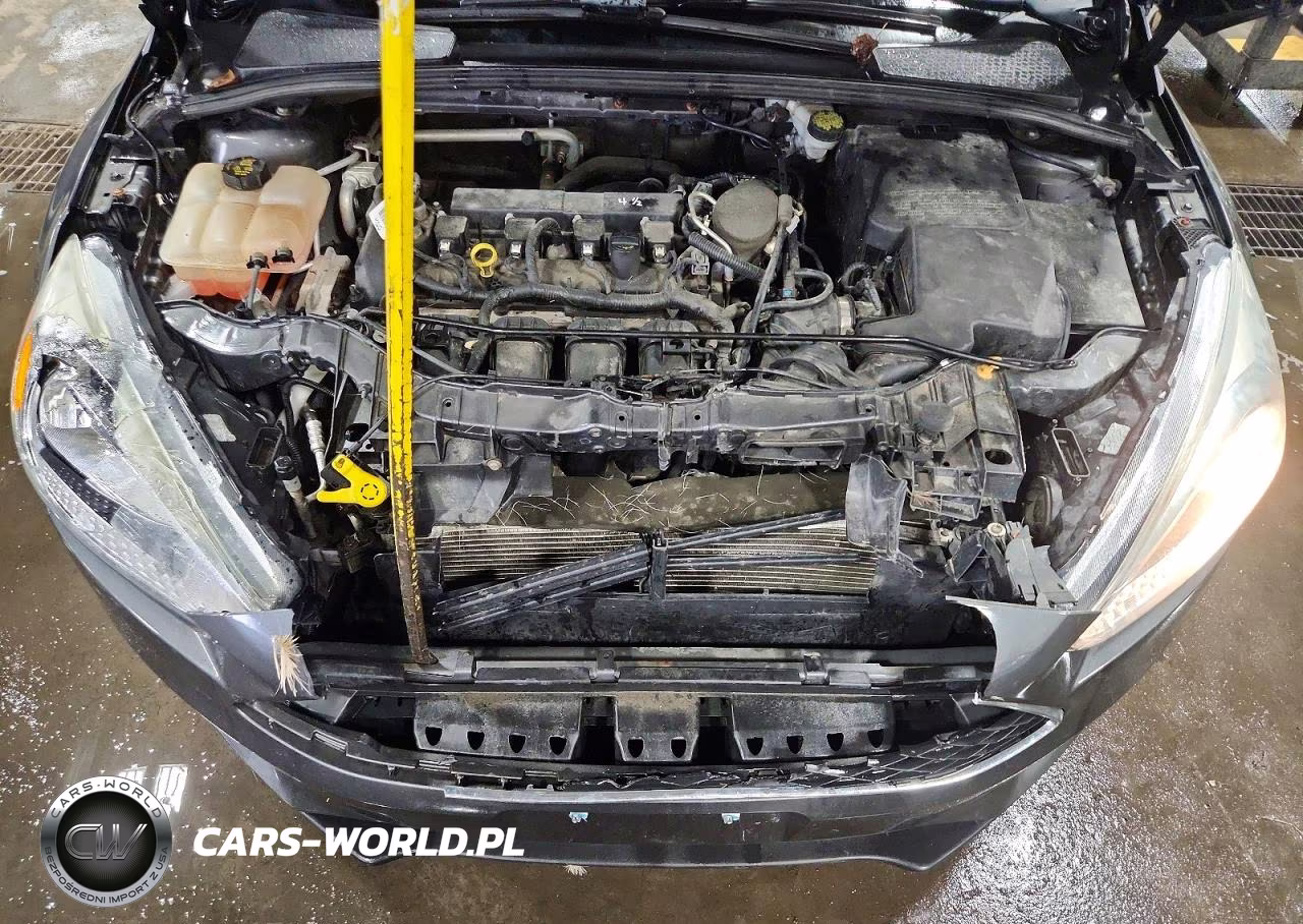 2016 Ford Focus Se VIN:1FADP3F23GL299750 - 11