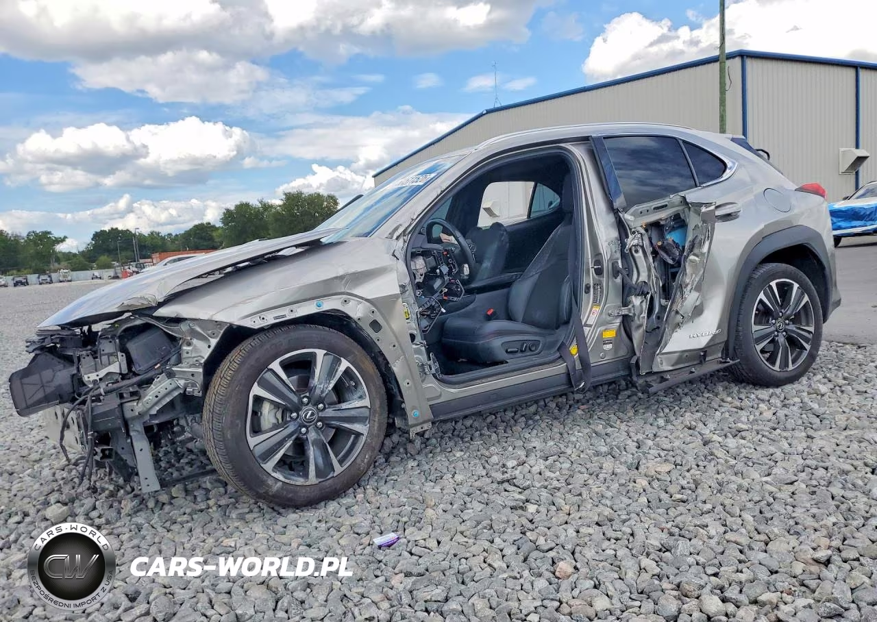 2019 Lexus Ux 250H