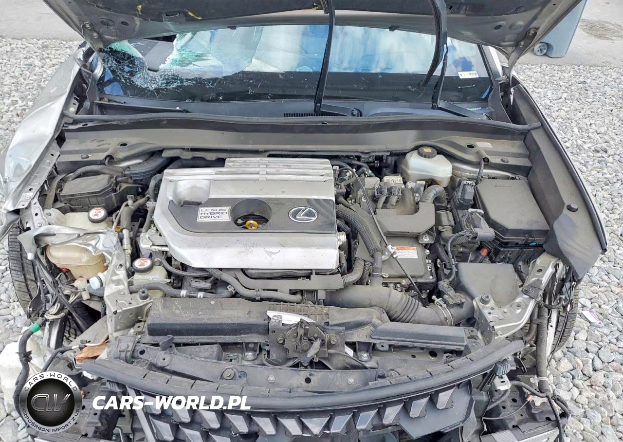 2019 Lexus Ux 250H VIN:JTHU9JBH8K2002083 - 12
