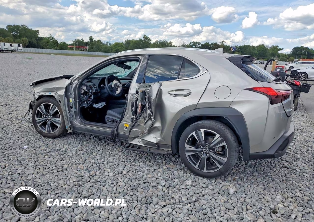 2019 Lexus Ux 250H VIN:JTHU9JBH8K2002083 - 2
