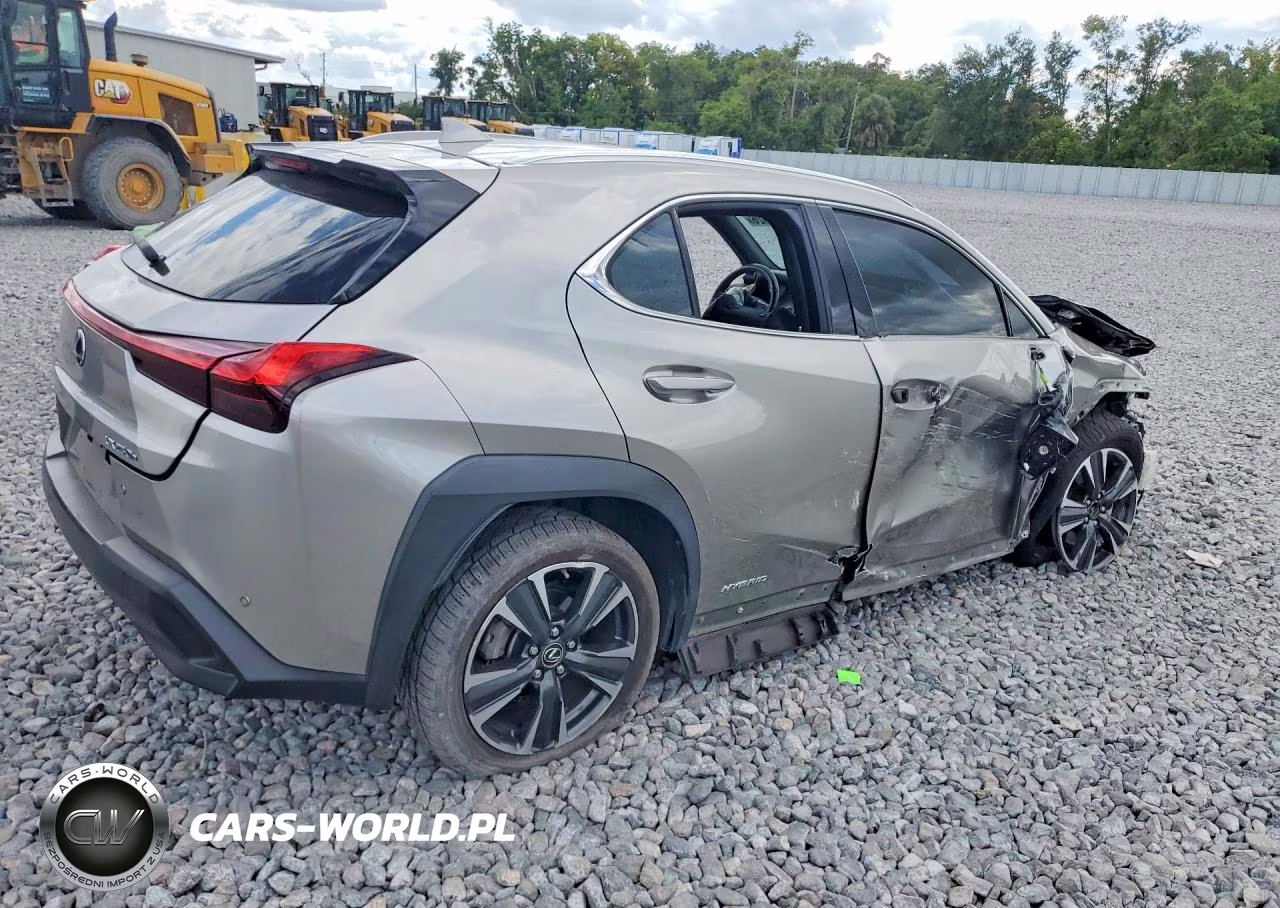 2019 Lexus Ux 250H VIN:JTHU9JBH8K2002083 - 3