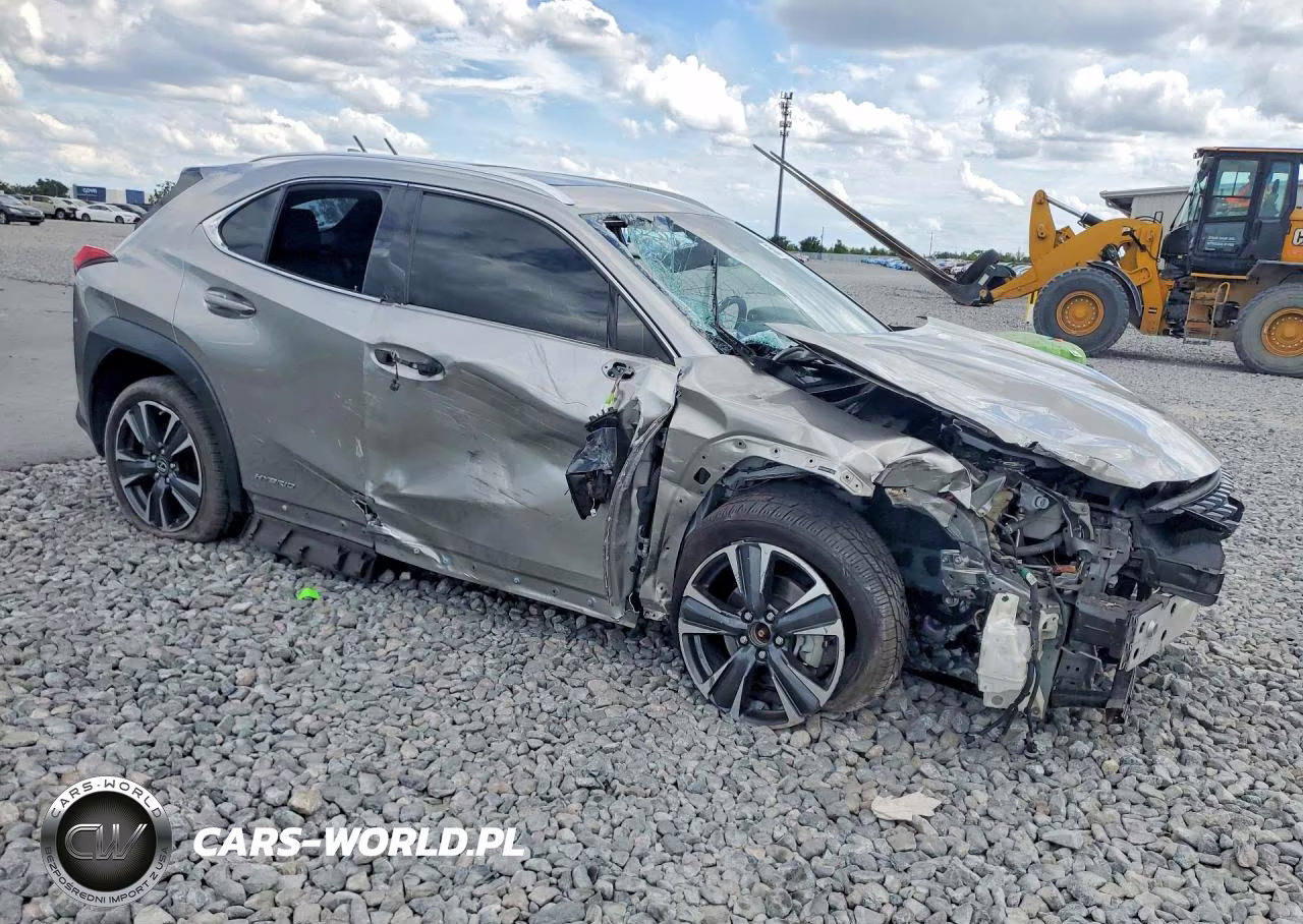 2019 Lexus Ux 250H VIN:JTHU9JBH8K2002083 - 4