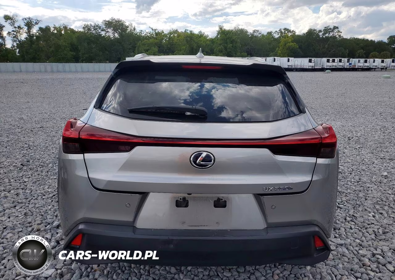 2019 Lexus Ux 250H VIN:JTHU9JBH8K2002083 - 6
