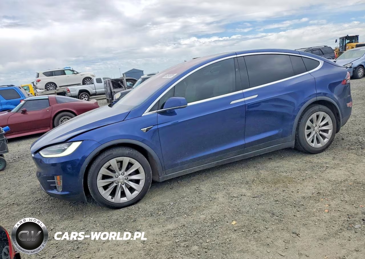 2019 Tesla Model X – zdjęcie 1 z 12