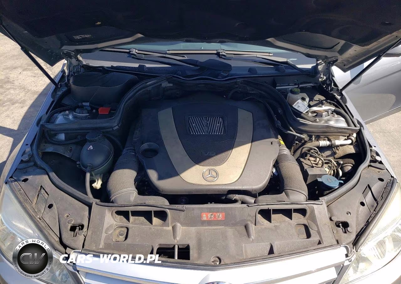 2009 Mercedes-Benz C 300 VIN:WDDGF54X69R074992 - 11