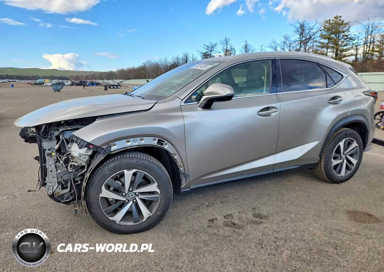 2020 Lexus Nx 300