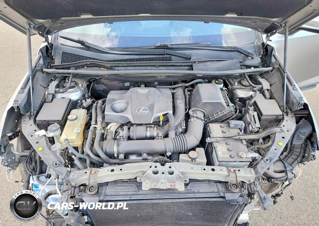 2020 Lexus Nx 300 VIN:JTJGARDZ8L5005783 - 12