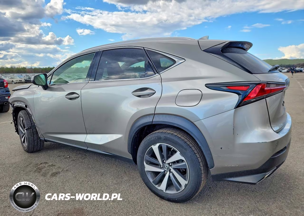 2020 Lexus Nx 300 VIN:JTJGARDZ8L5005783 - 2
