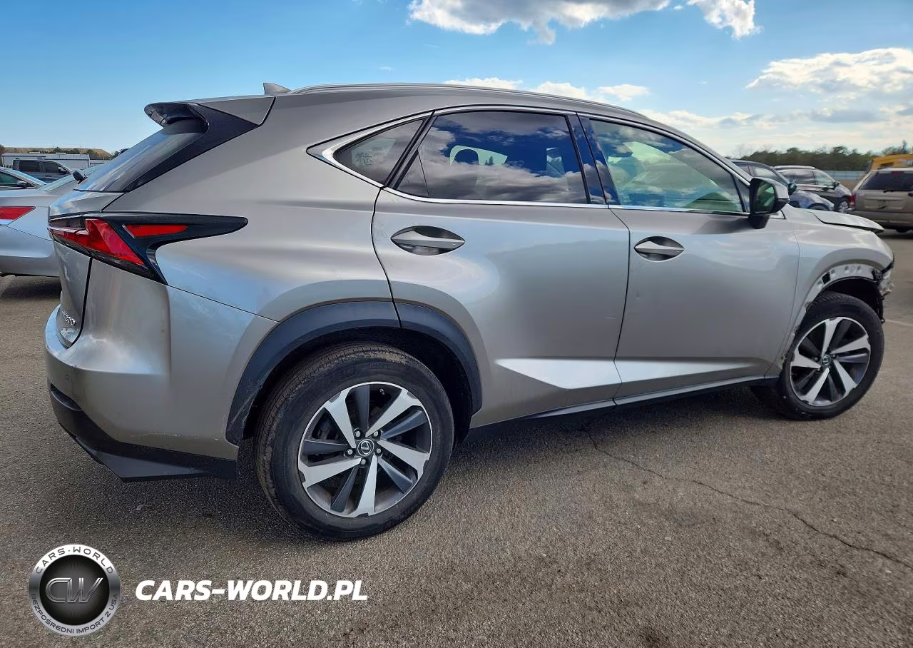 2020 Lexus Nx 300 VIN:JTJGARDZ8L5005783 - 3