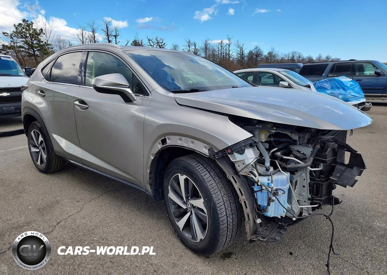 2020 Lexus Nx 300 VIN:JTJGARDZ8L5005783 - 4