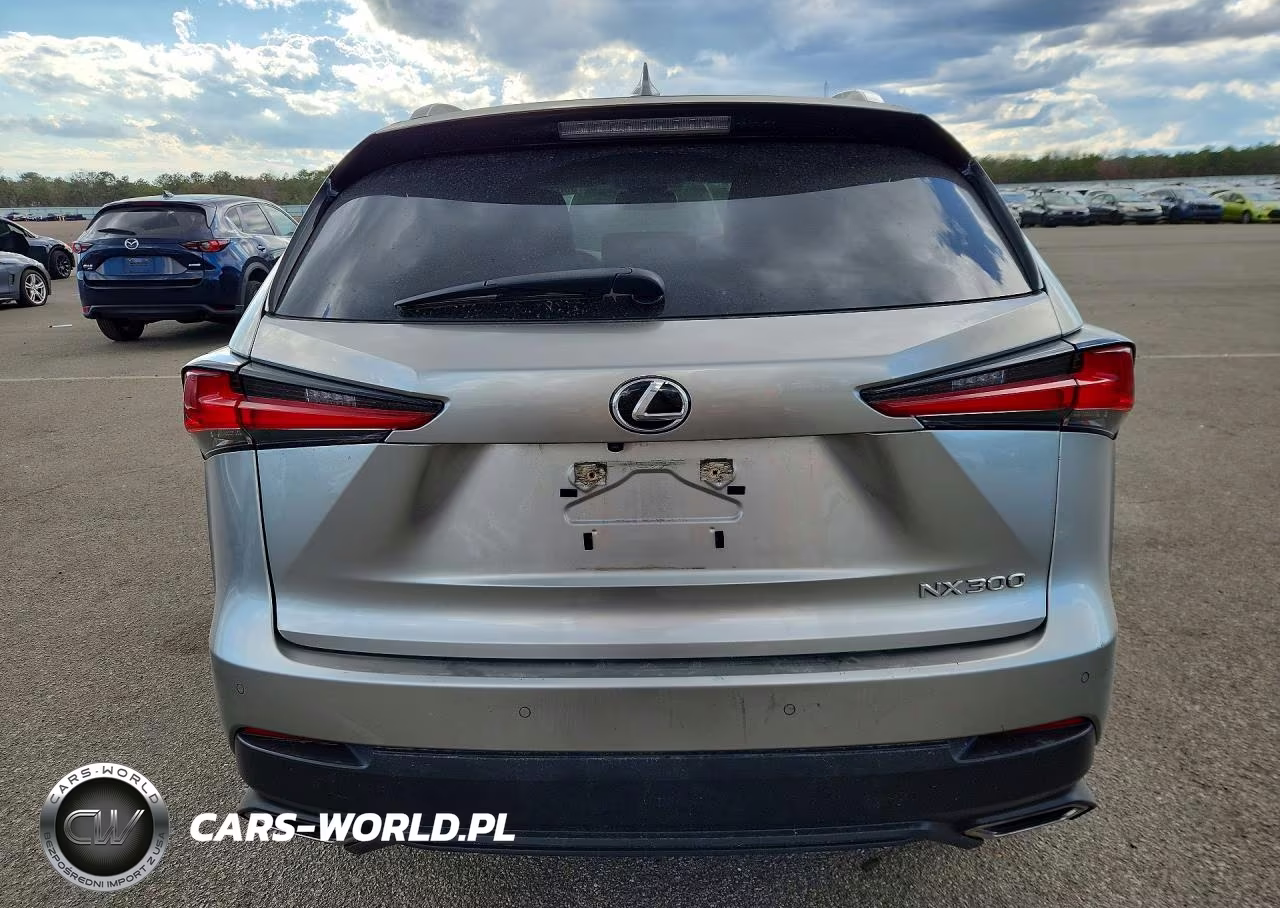 2020 Lexus Nx 300 VIN:JTJGARDZ8L5005783 - 6