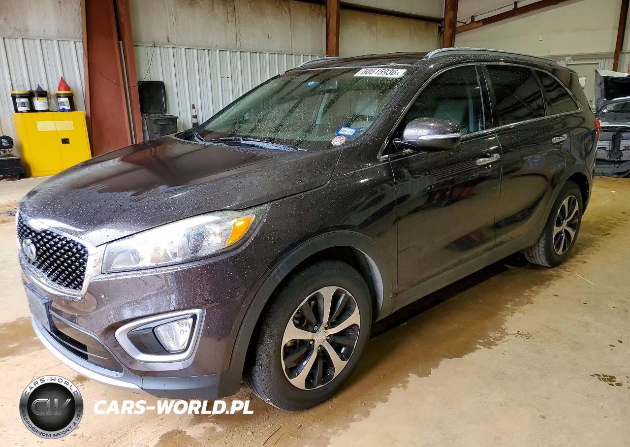 2017 Kia Sorento Ex VIN:5XYPH4A55HG203111 - 1