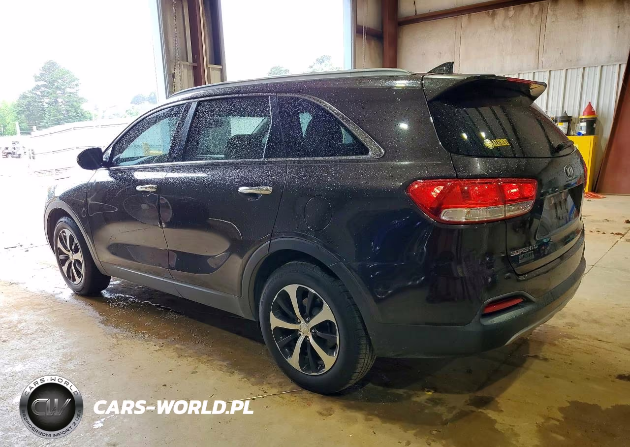2017 Kia Sorento Ex VIN:5XYPH4A55HG203111 - 2