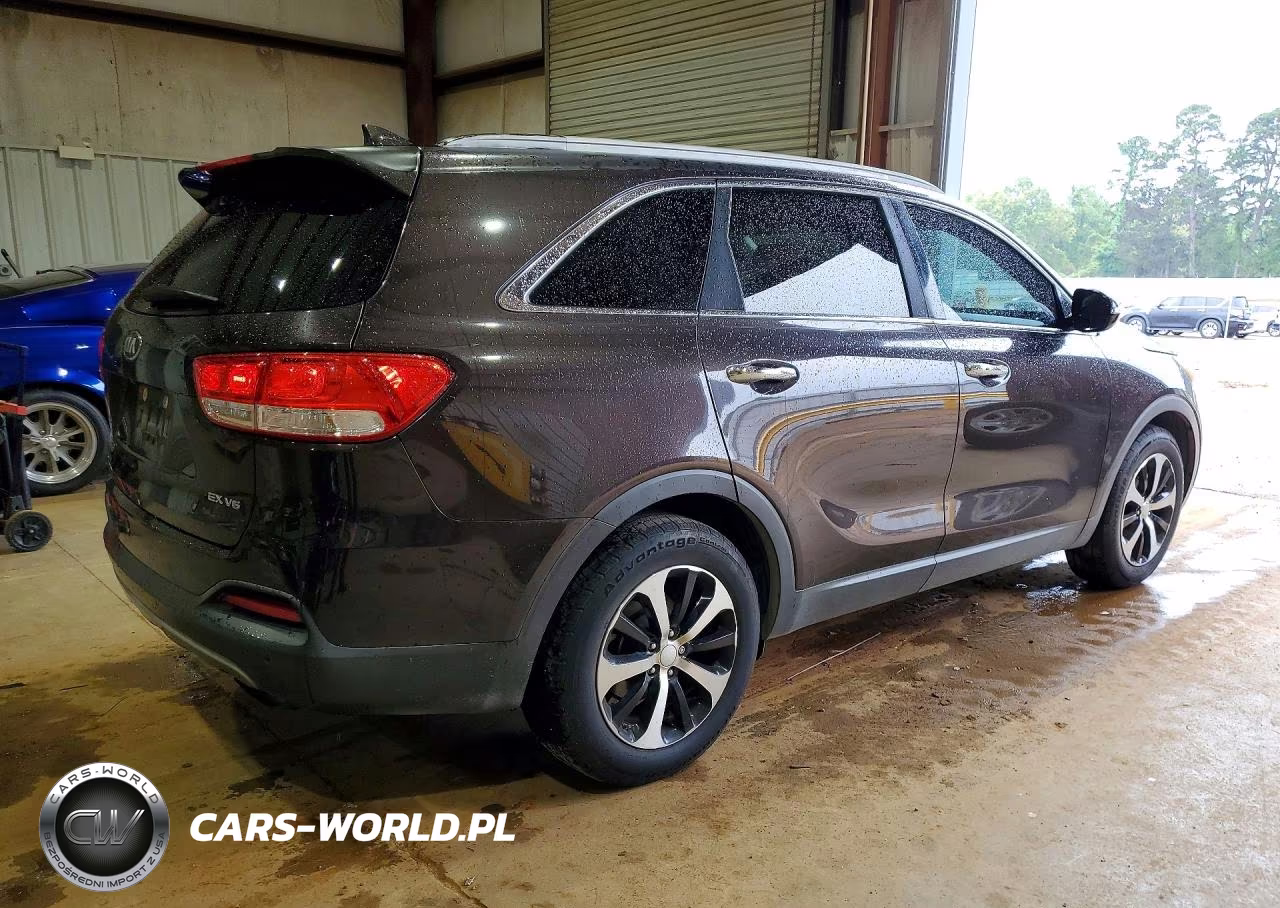 2017 Kia Sorento Ex VIN:5XYPH4A55HG203111 - 3
