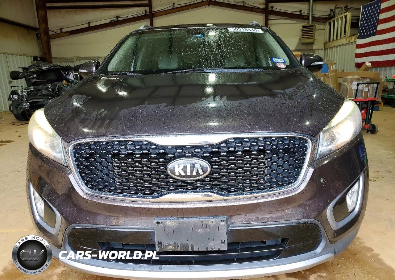 2017 Kia Sorento Ex VIN:5XYPH4A55HG203111 - 5
