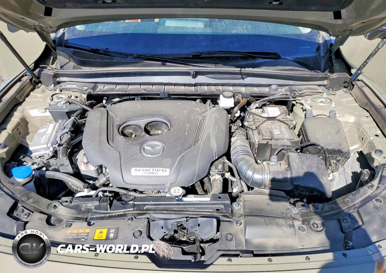 2025 Mazda Cx-50 Base VIN:7MMVABXYXSN352714 - 12