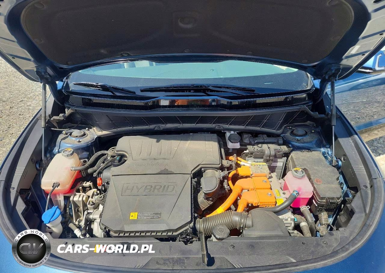2023 Kia Niro Ex VIN:KNDCR3LE3P5090656 - 12