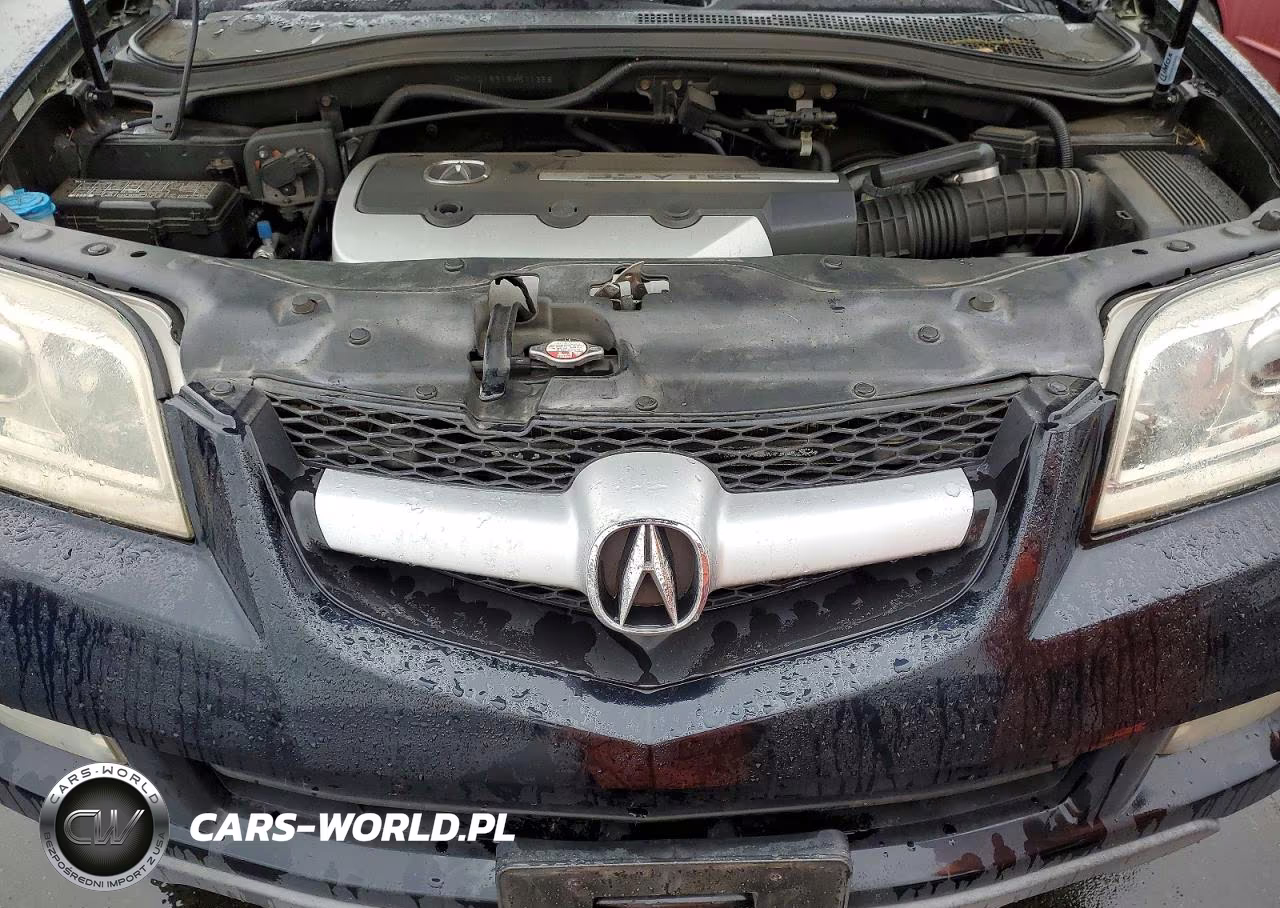 2006 Acura Mdx Touring VIN:2HNYD18916H511358 - 12