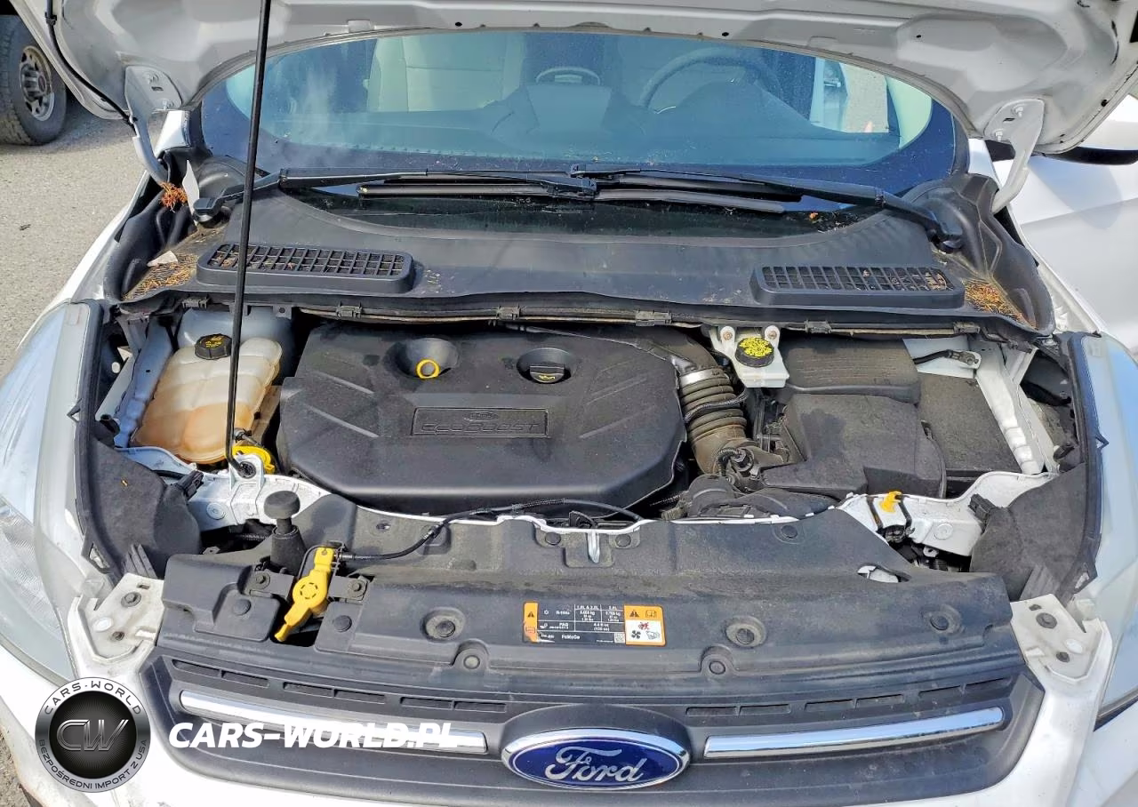 2014 Ford Escape Se VIN:1FMCU9G94EUD73807 - 12