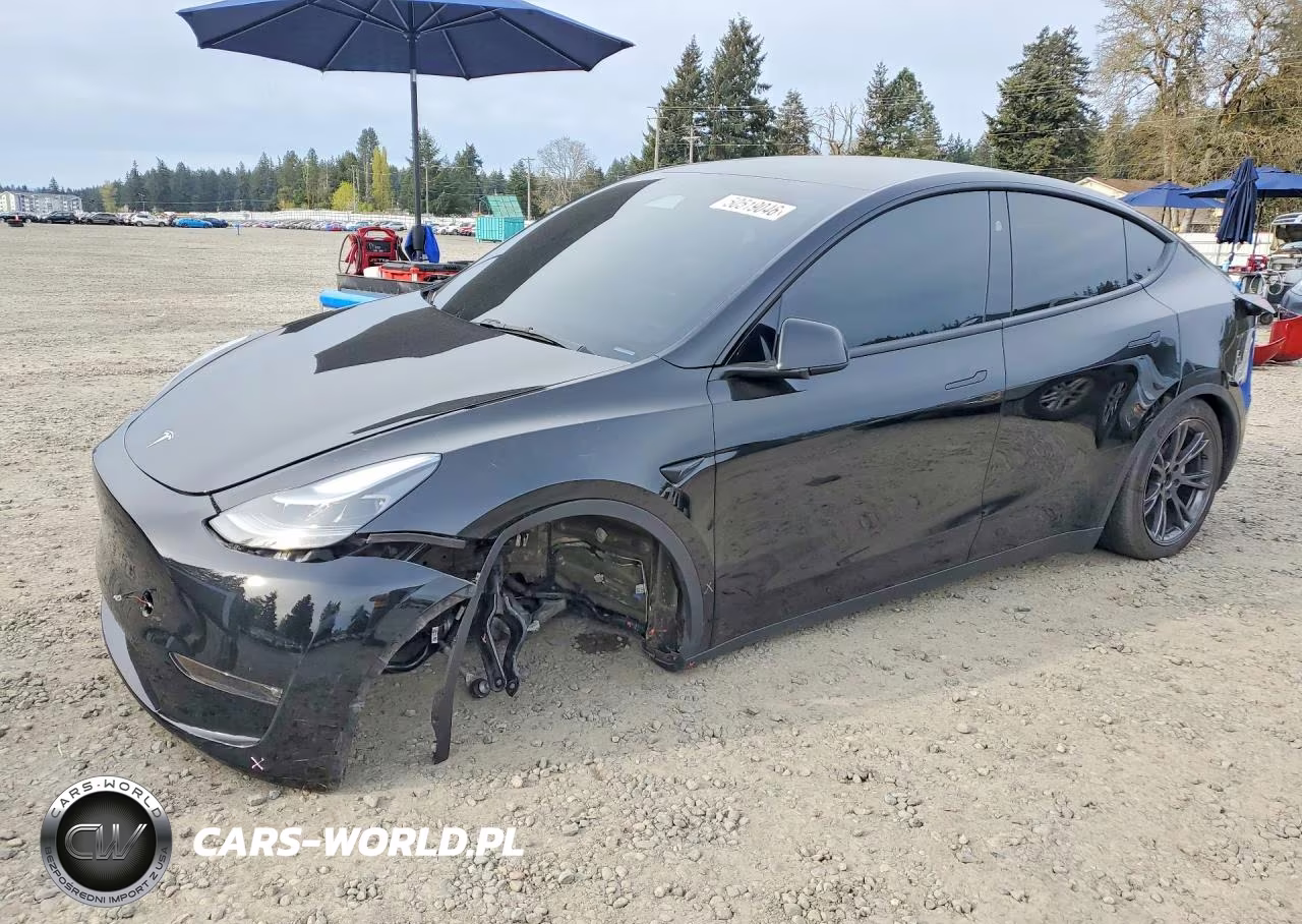 2025 Tesla Model Y