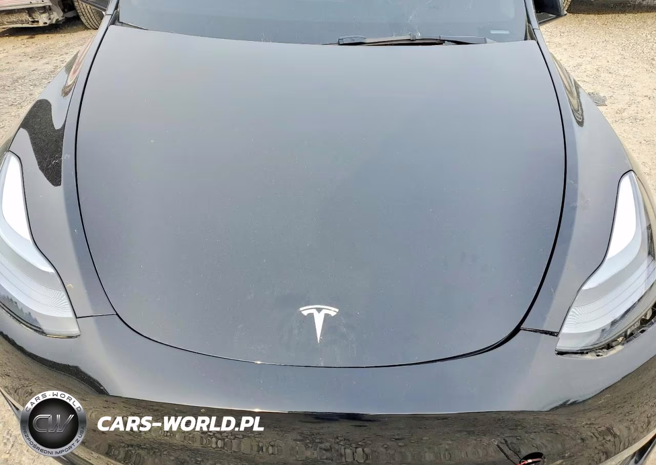 2025 Tesla Model Y VIN:7SAYGAEE2SF239064 - 11