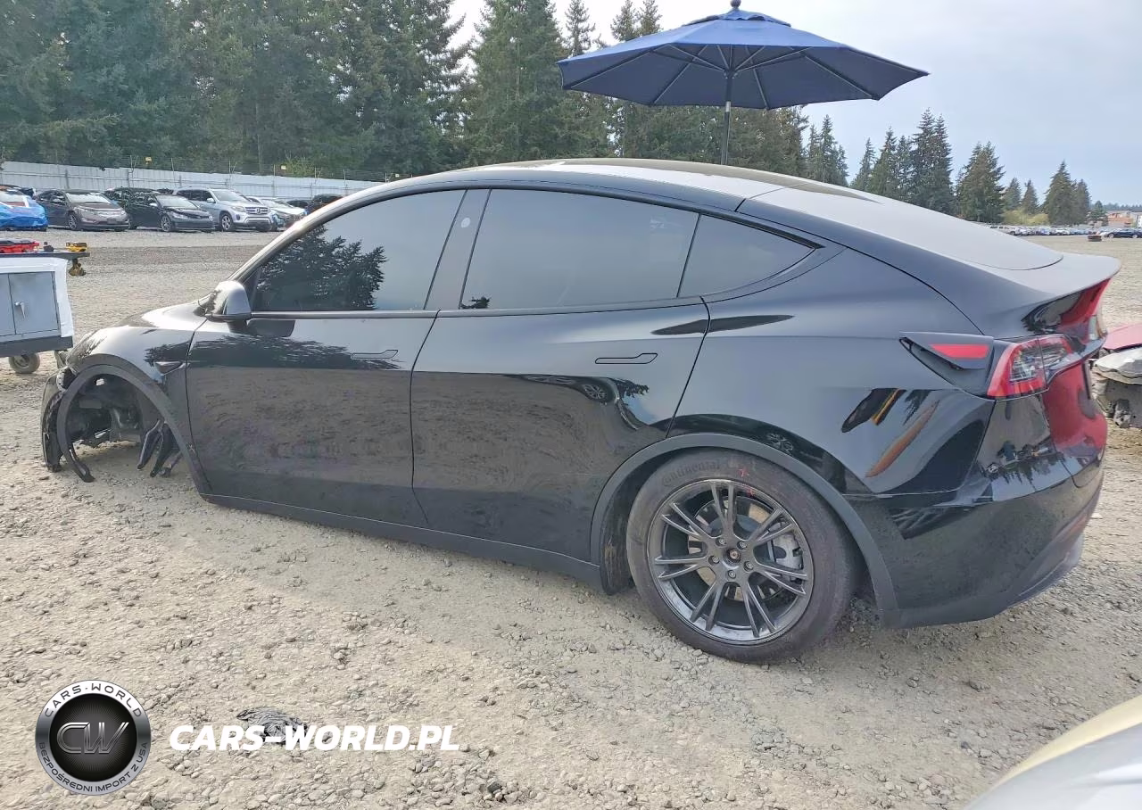 2025 Tesla Model Y VIN:7SAYGAEE2SF239064 - 2