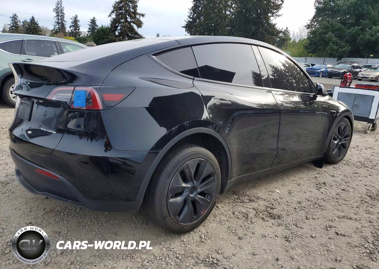 2025 Tesla Model Y VIN:7SAYGAEE2SF239064 - 3