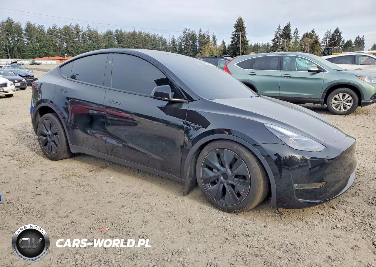 2025 Tesla Model Y VIN:7SAYGAEE2SF239064 - 4