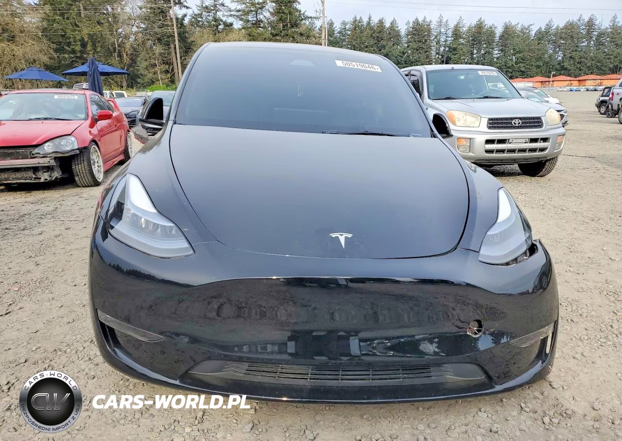 2025 Tesla Model Y VIN:7SAYGAEE2SF239064 - 5