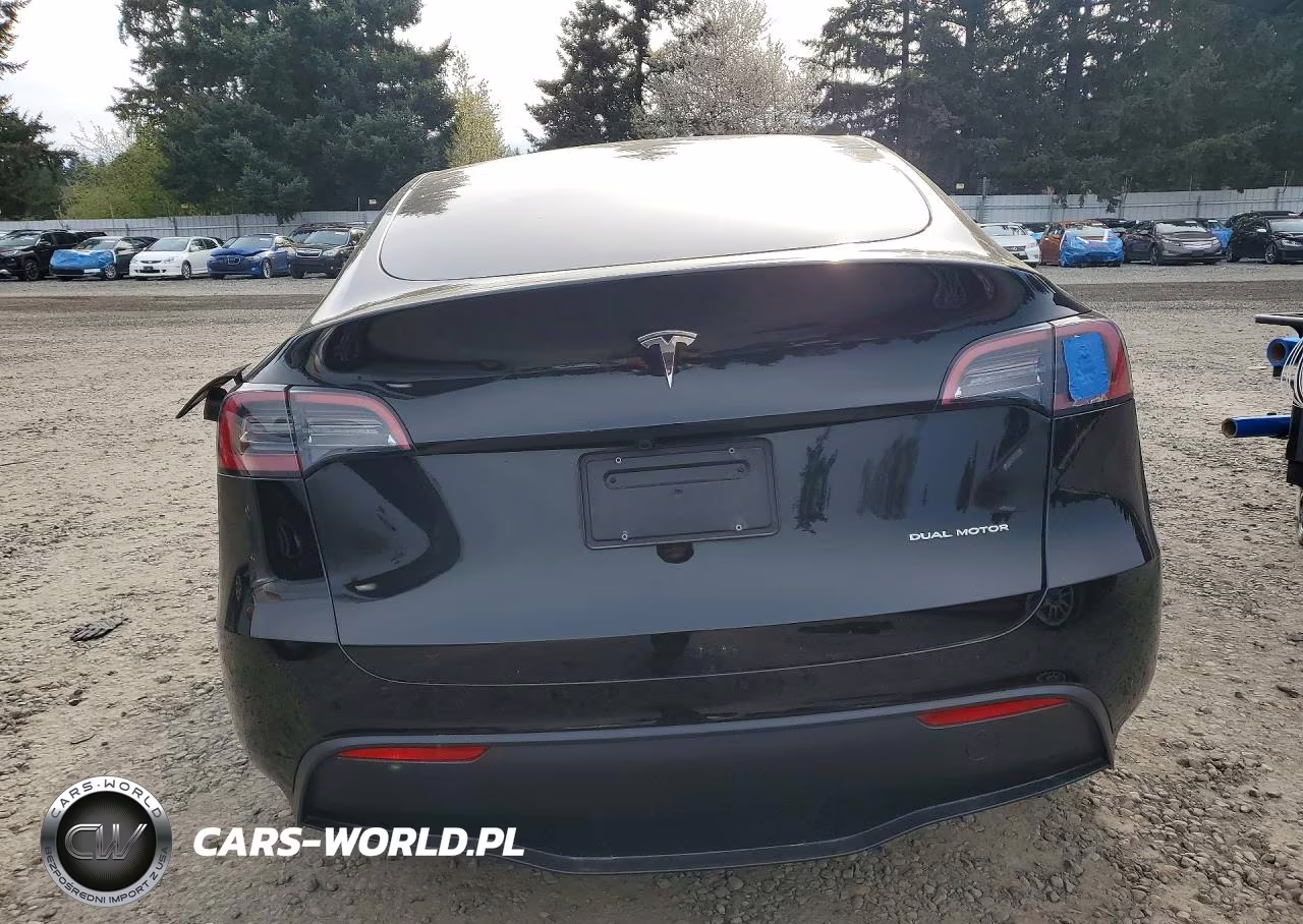 2025 Tesla Model Y VIN:7SAYGAEE2SF239064 - 6