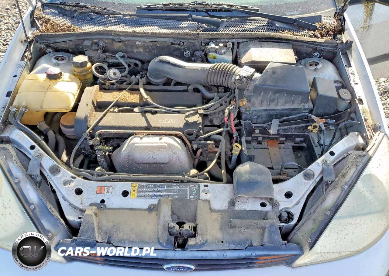 2001 Ford Focus Zx3 VIN:3FAFP313X1R139804 - 11
