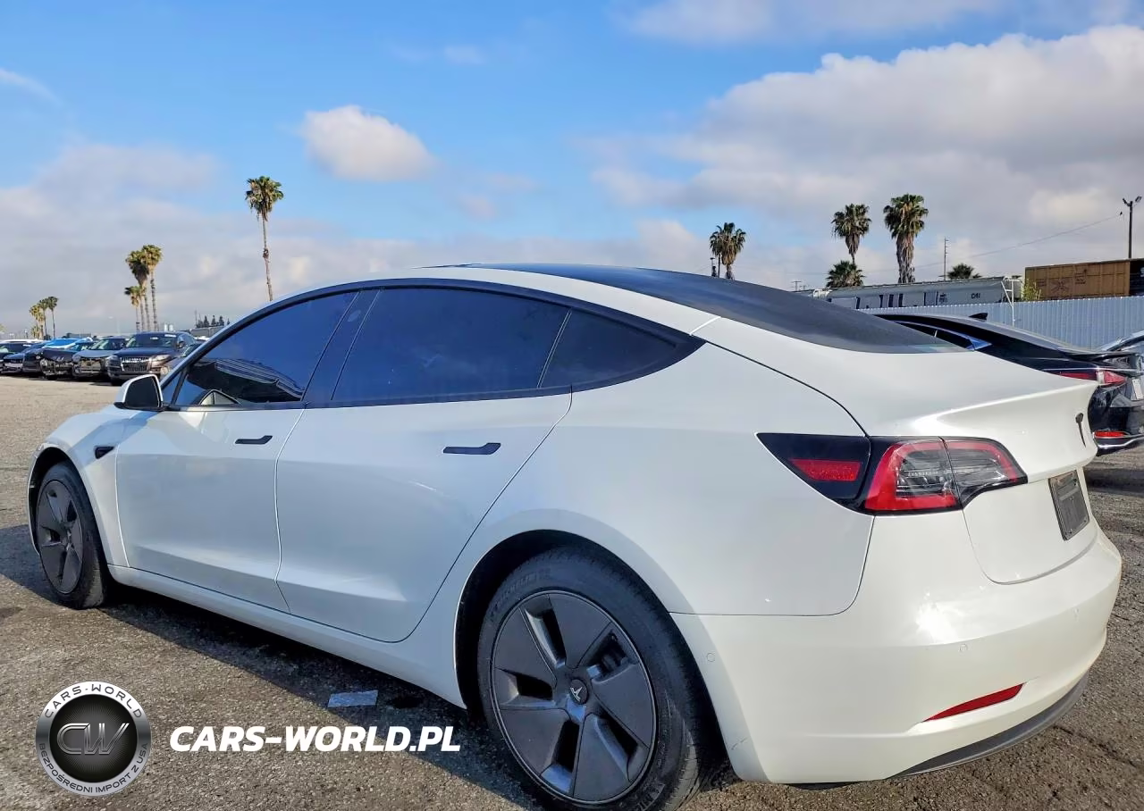2022 Tesla Model 3 VIN:5YJ3E1EA6NF355883 - 2