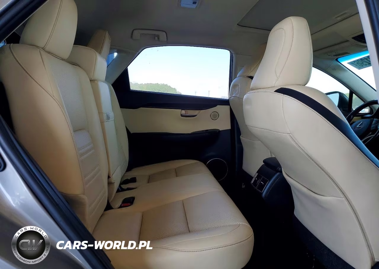 2015 Lexus Nx 200T VIN:JTJYARBZ0F2004334 - 11