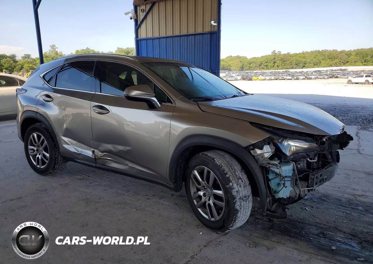 2015 Lexus Nx 200T VIN:JTJYARBZ0F2004334 - 4