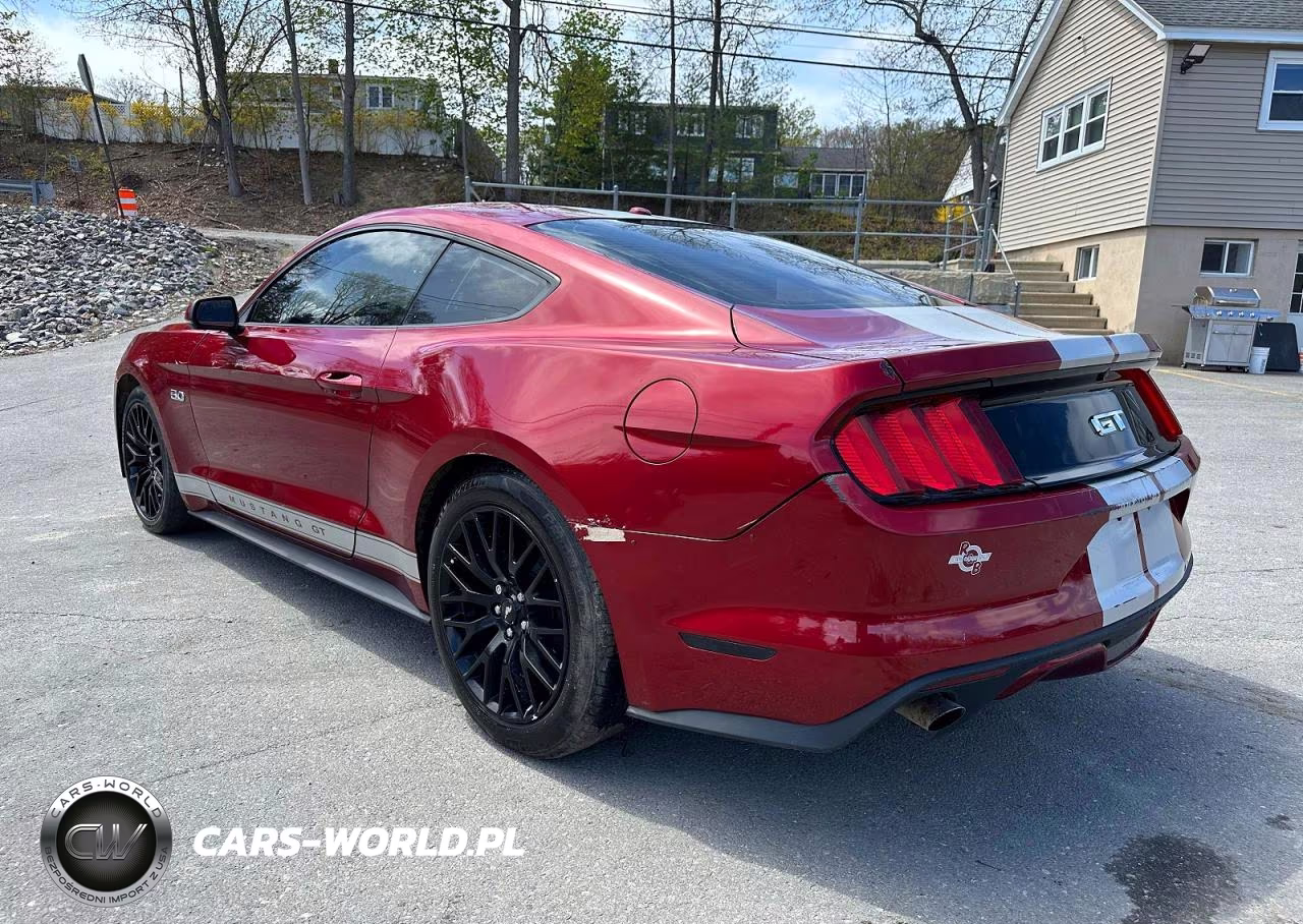 2015 Ford Mustang Gt VIN:1FA6P8CF5F5410007 - 2