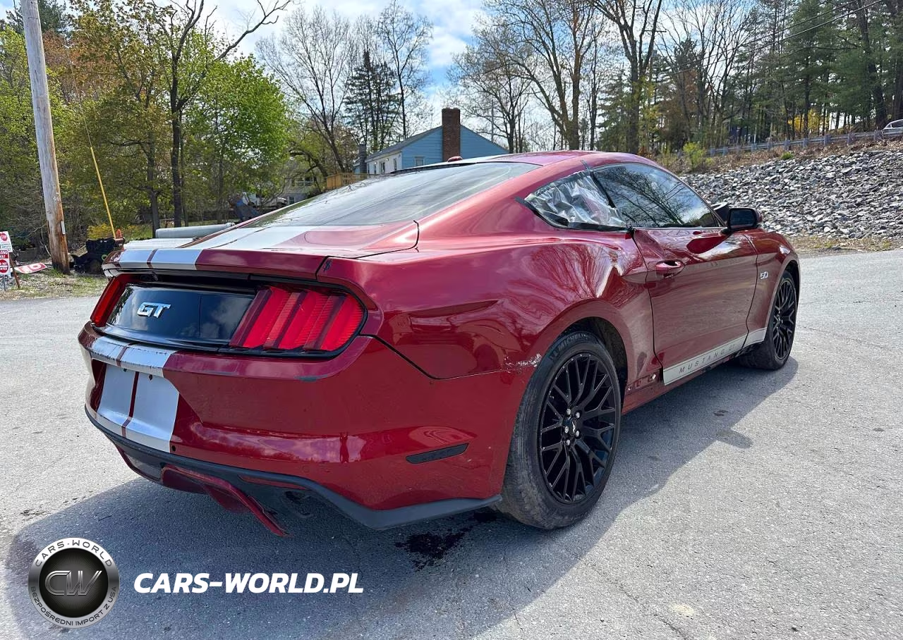 2015 Ford Mustang Gt VIN:1FA6P8CF5F5410007 - 3