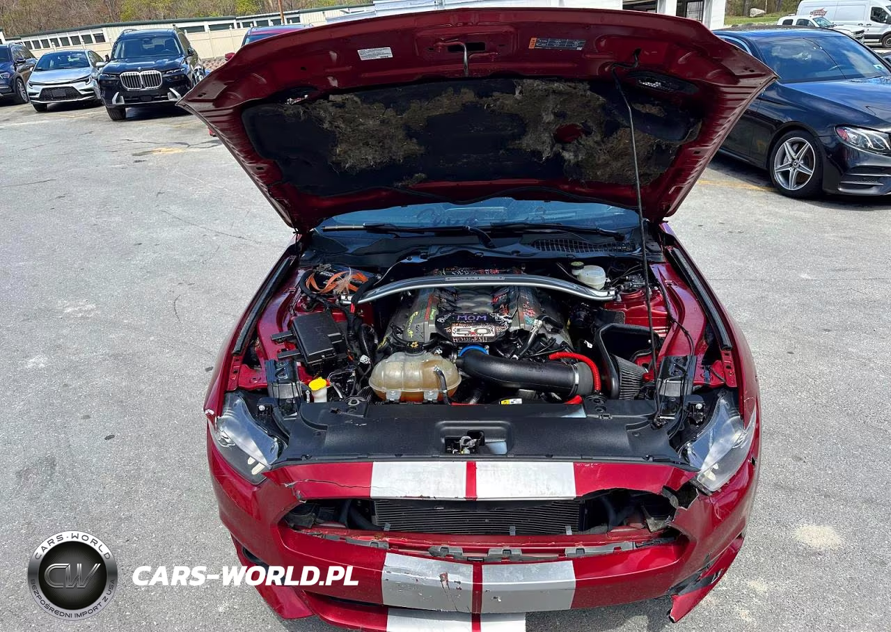 2015 Ford Mustang Gt VIN:1FA6P8CF5F5410007 - 5