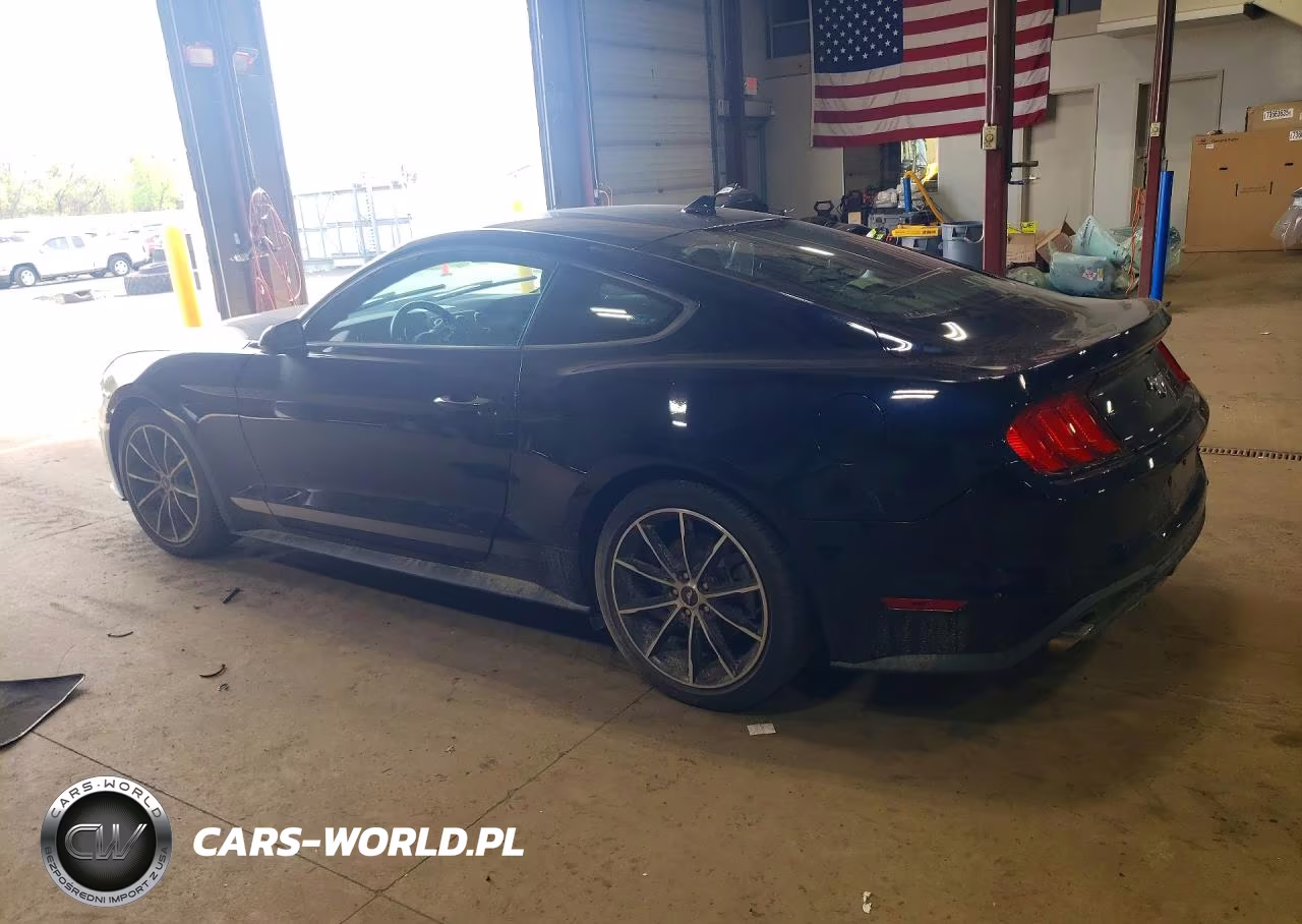 2021 Ford Mustang VIN:1FA6P8TH9M5128449 - 2