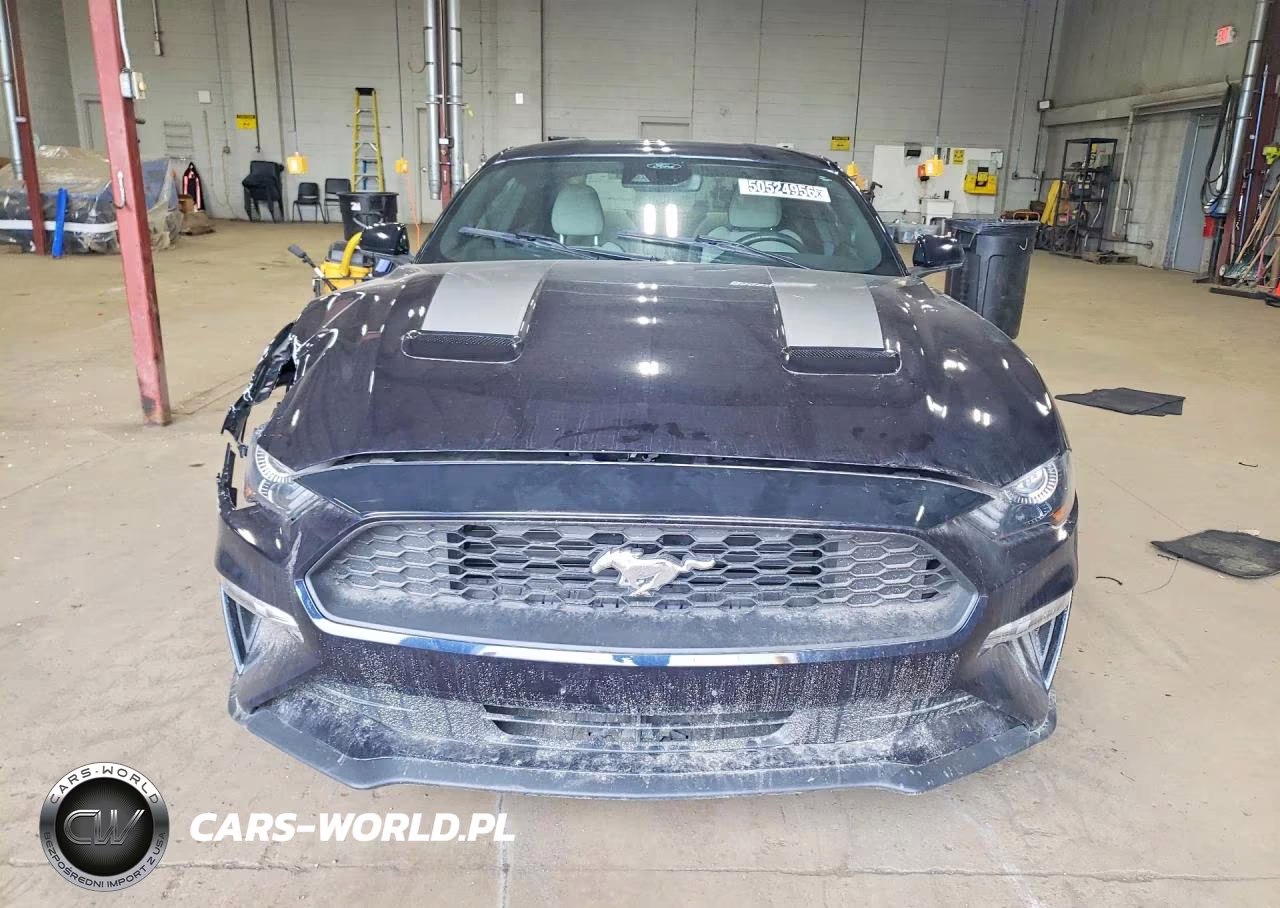 2021 Ford Mustang VIN:1FA6P8TH9M5128449 - 5