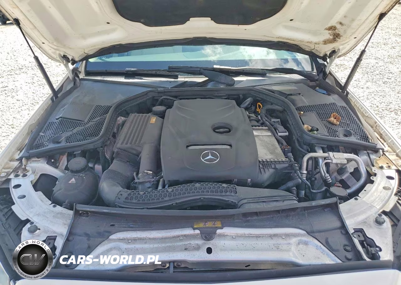 2017 Mercedes-Benz C 300 VIN:55SWF4JB7HU189533 - 11