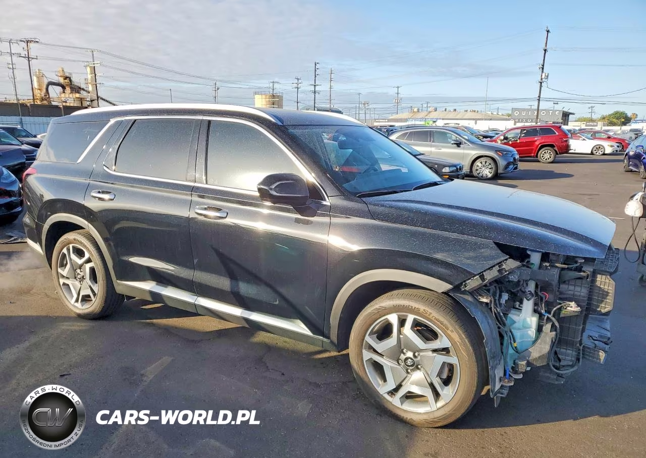 2025 Hyundai Palisade Sel Premium VIN:KM8R44GE8SU885057 - 4