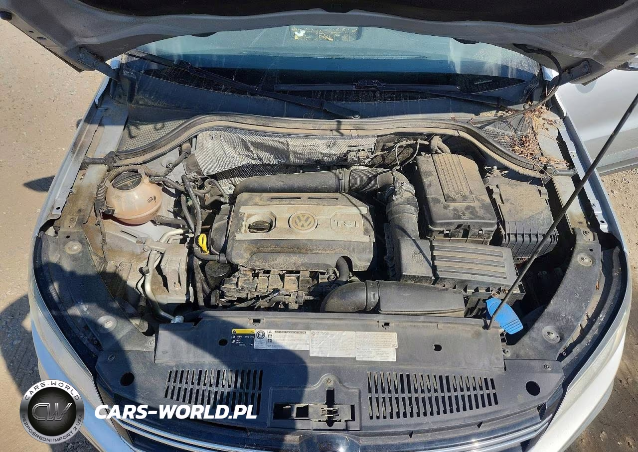 2017 Volkswagen Tiguan S VIN:WVGBV7AX4HK026028 - 12