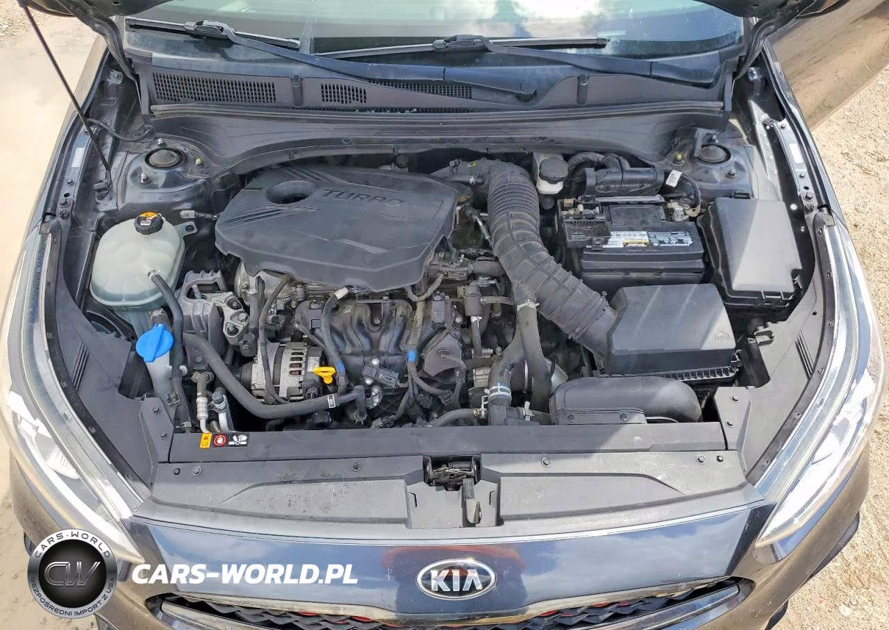 2020 Kia Forte Gt VIN:3KPF44ACXLE187872 - 11