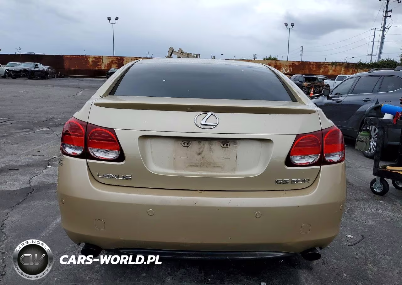 2006 Lexus Gs 300 VIN:JTHBH96S965008493 - 6