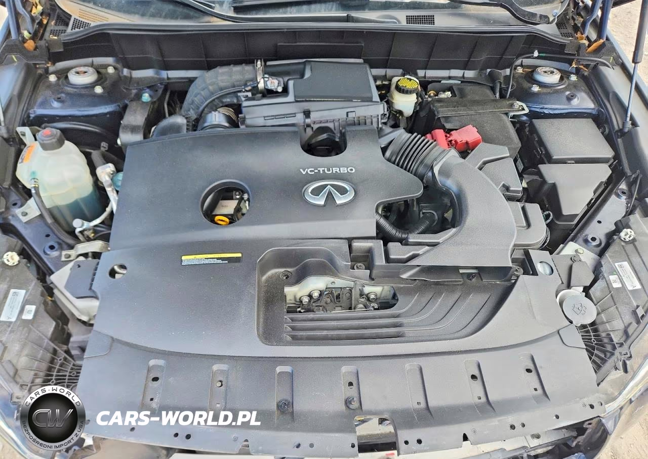 2019 Infiniti Qx50 Pure VIN:3PCAJ5M17KF147518 - 11
