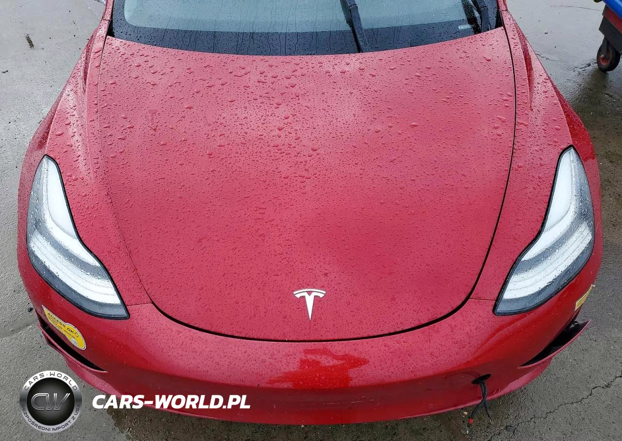 2019 Tesla Model 3 VIN:5YJ3E1EA4KF357644 - 11
