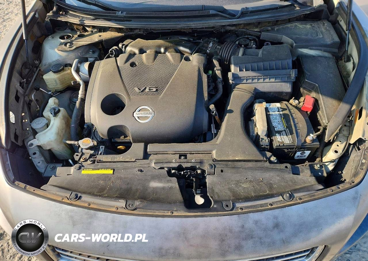 2009 Nissan Maxima 3.5 S VIN:1N4AA51E29C800194 - 11