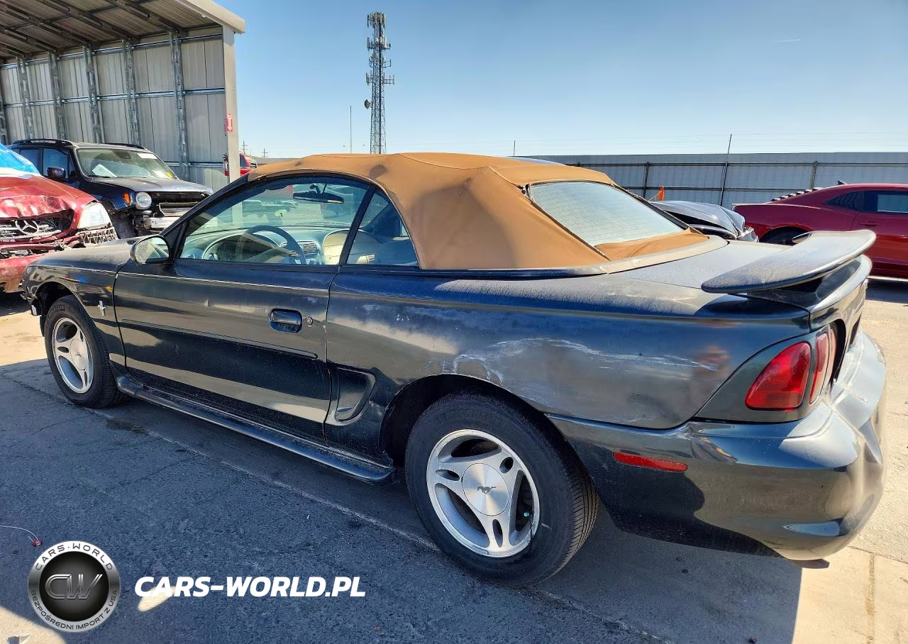 1998 Ford Mustang VIN:1FAFP4446WF169090 - 2